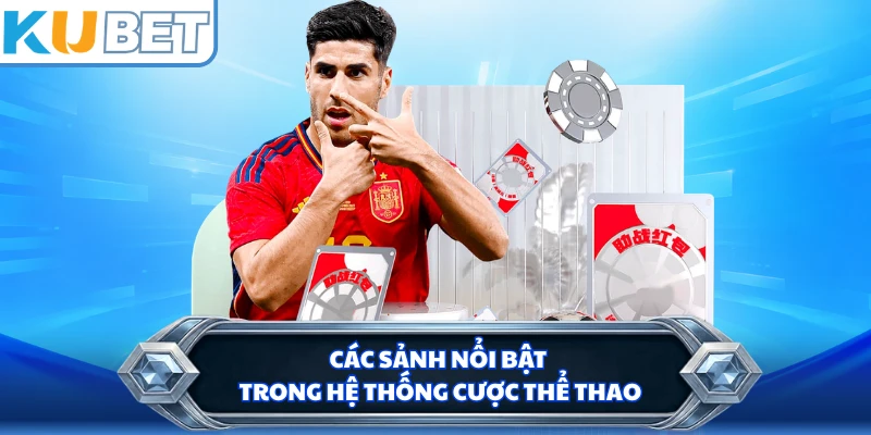 Các sảnh nổi bật trong hệ thống cược thể thao