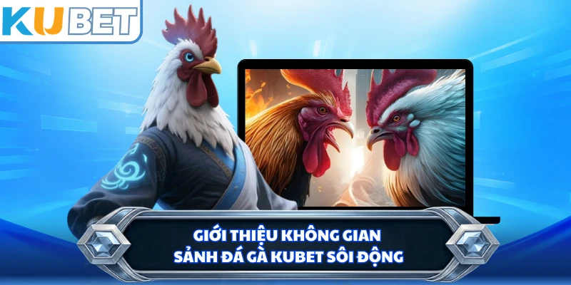 Giới thiệu không gian sảnh đá gà KUBET sôi động