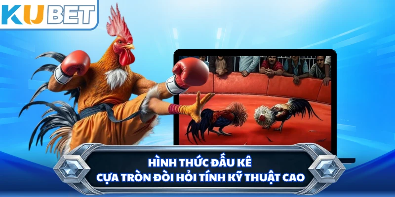 Hình thức đấu kê cựa tròn đòi hỏi tính kỹ thuật cao