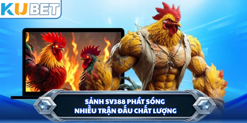 Sảnh SV388 phát sóng nhiều trận đấu chất lượng